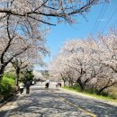 선진공원 주차장 이미지