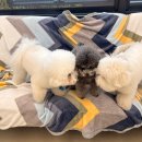 바우라움 메인캠퍼스 이미지