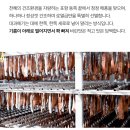 (주)우리파코미 | 마담주 포항 구룡포 과메기 야채세트 7미 내돈내산 입문자 솔직후기
