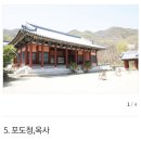 경기 용인 가볼만한곳 대장금파크 방문 후기 투어카 타고 돌아보기
