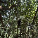 (주)단주 이미지