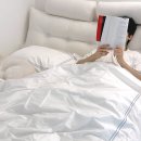 (주)호텔하니크라운 | 호텔식 침구 찾는다면 크라운구스 구스이불 베개 커버세트 추천