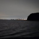 별똥별비 | [블챌] 맨눈으로 별똥별 보기 찐 후기