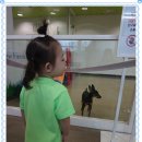 월평동물병원 이미지