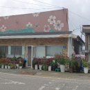 북진상회 이미지