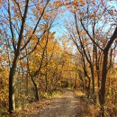 산이랑 강이랑 이미지