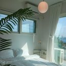 또또펜션 | 제주도 분위기좋은 감성숙소 합격 바다 앞 독채펜션 후기
