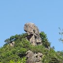 금산 Daum카페