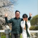 맑고 고운 세상 이미지