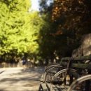 Bubble pop 이미지