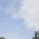 수연장 이미지