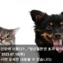 [오늘의 반려동물 소식] 23.07.18 반려동물, 정신건강에 이롭다?..."정신질환엔 효과 없어" & 가평군...