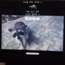 모든이식당 | 여행] 칸쿤 숙소 올인클루시브 리조트 후기 - TRS 유카탄 / 식당 추천, 수영장, 주니어 스위트 가든뷰 소개