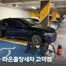유일손세차 | 내돈내산 평택 고덕 라온출장세차 손세차 대만족 후기
