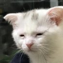 중등 한국사 이미지