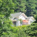 숲속의 하얀펜션 이미지