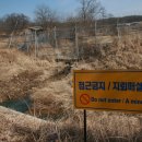 H9080 Daum카페