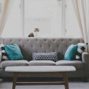 통일애견 이미지