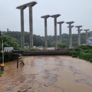 나성동_다정교 이미지