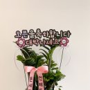주니캔들본사 이미지