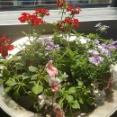 언니네3층 이미지