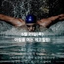 에코건강