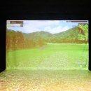 리치스크린골프존 이미지