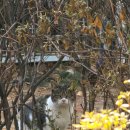 대현산체육관 이미지