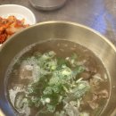 강남 직장인 맛집 신복관 역삼점 한우설렁탕 쭈꾸미덮밥 내돈내산 후기