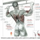 휘트니스오름 분평점 이미지