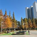 커피철학 이미지