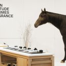 (주)웰리빙헬스케어전문가그룹 W사우나 시청점 | [코드스테이츠 GMB 6기 W1D2] SWOT &amp; STP