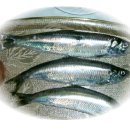 청어람로 이미지