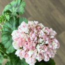 빛으로부터..(fr 이미지