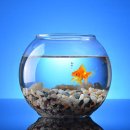 어항고개 이미지