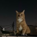 범상
