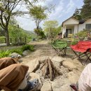 강림서길384 이미지