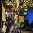 sweet one | [발리 한 달 살기] 우붓 식당 모음｜내돈내산 후기