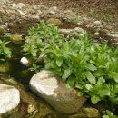 관산1로 이미지