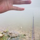 훼미리낚시터 이미지