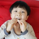 송지농장 | 제주한라봉 제주송지농장 한라봉10kg도 주문해야겠네