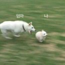 오느래 이미지