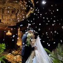 수원-1096 | 몰드그라피 (구 웨딩브리즈) 본식스냅 및 앨범 수령 후기 💍