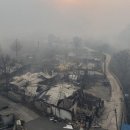 석보면사무소 이미지