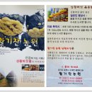 상황버섯 향촌 이미지