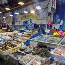 아도수산 이미지