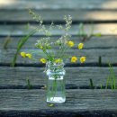 포도송이펜션 이미지