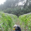 한마음농장 2 이미지