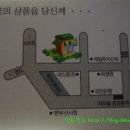 중앙동231 이미지