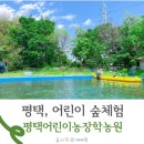 진행농장 | 어린이숲체험 평택 어린이농장학농원 주말 숲놀이 아이랑가볼만한곳